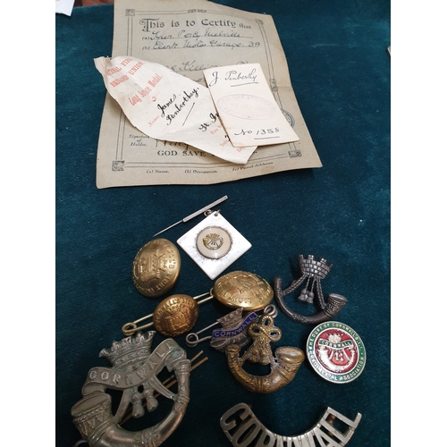 234A - Cornwall Military Badges etc