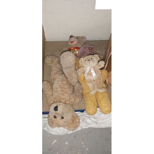 404 - box teddies