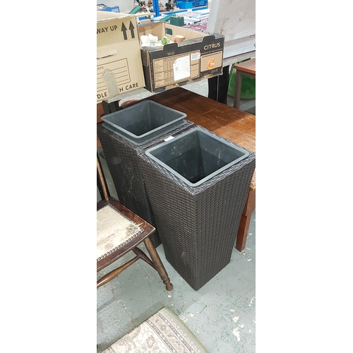 494 - 2 wicker plant pots