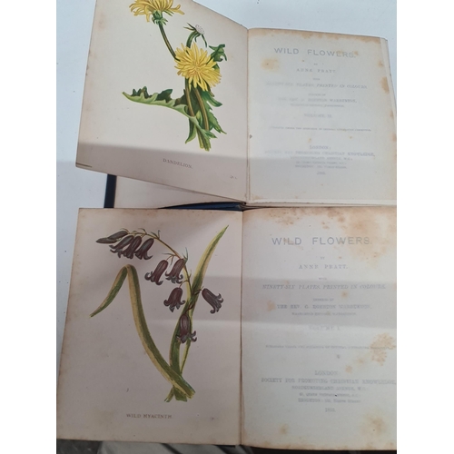 19A - Anne Pratt - Wild Flowers Volume I & II 1893 with 96 Colour Plates SPCK Rare Books