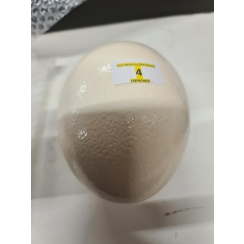 4 - Ostrich Egg