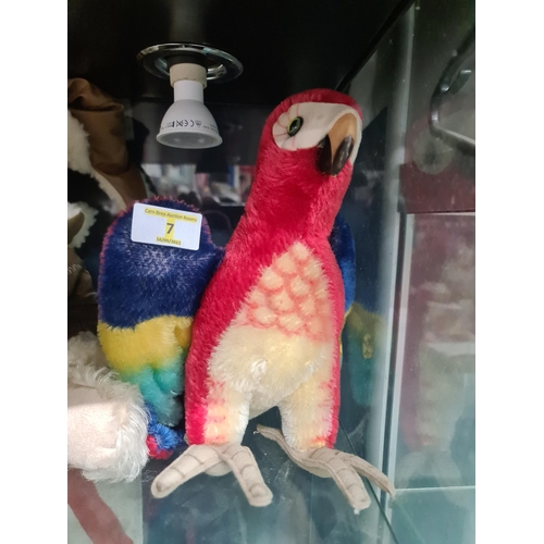 7 - Rare stieff parrot 10