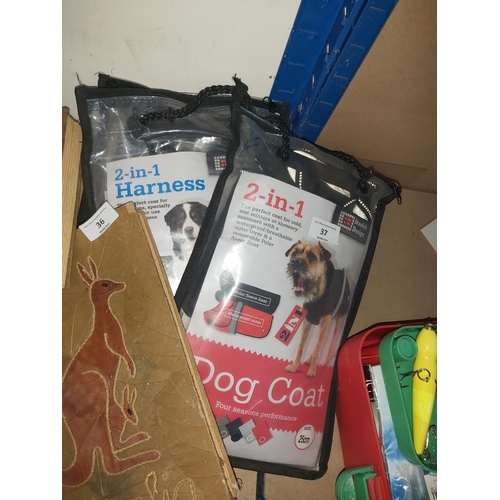 37 - 2 dog harnesses, 1 new dog coats small