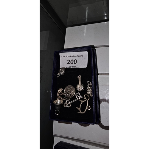 200 - 8 x 925 silver assorted medium charms