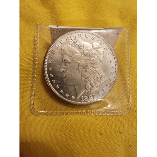 44A - 1882 Morgan dollar specimen