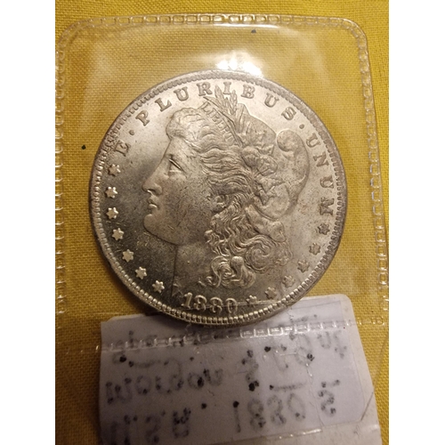 45 - 1880 Morgan dollar specimen