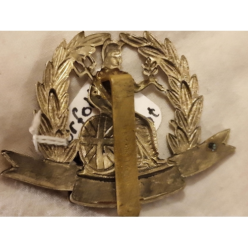 20 - The Norfolk Regiment badge