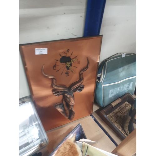 Lot 24        