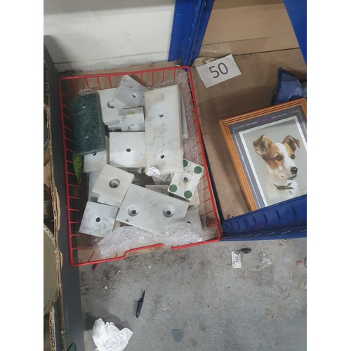 Lot 36        