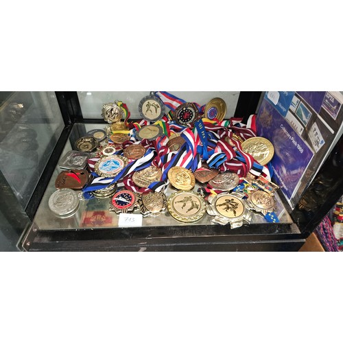 713 - Huge lot of karate medals