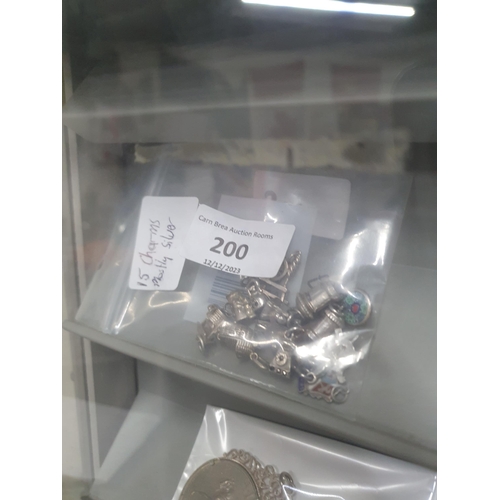 200 - 15 charms some silver