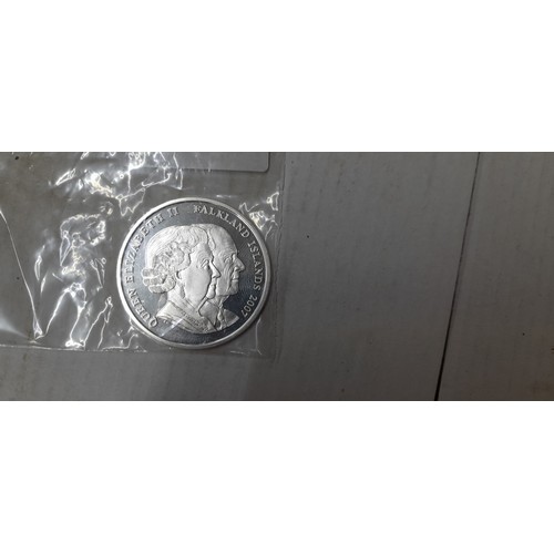 711 - Big silver coin