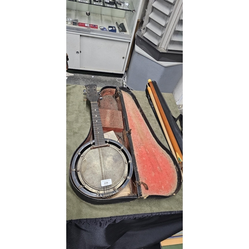 229 - Walliostro zither Mandolin