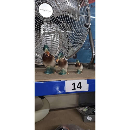 Lot 14        