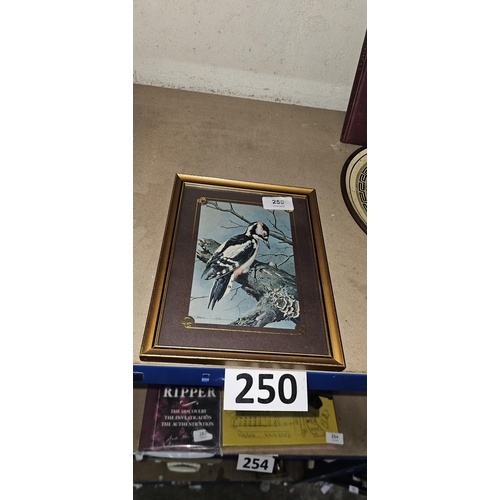 Lot 250       