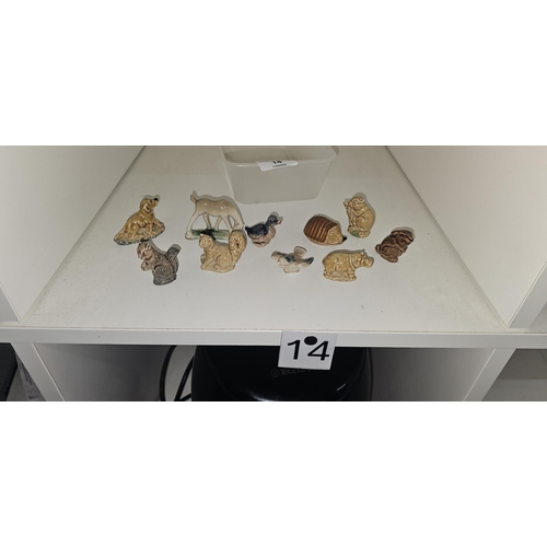 Lot 14        