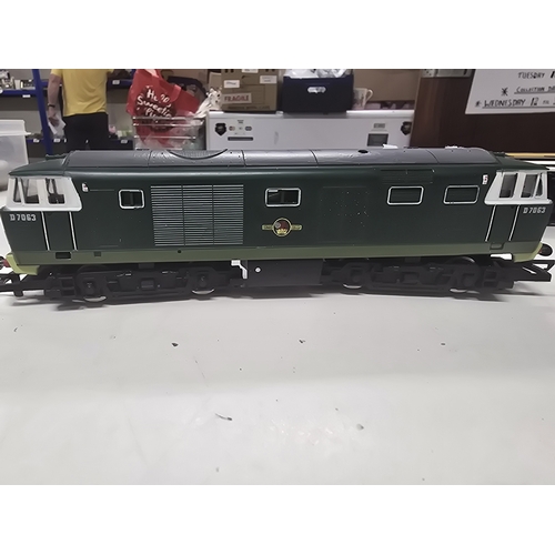 Lot 113       