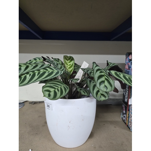 Lot 295       