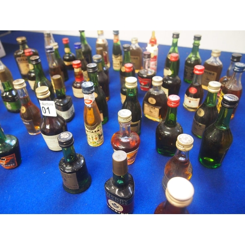 101 - A quantity of miniature cognac and brandies etc. (46 bottles in total) A/F