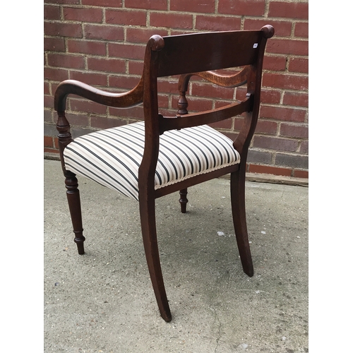 77 - 19th/20th century antique elbow chair, sensitivity reupholstered