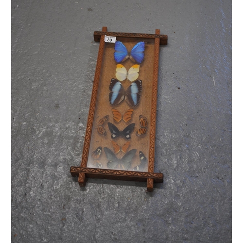 89 - A framed display of butterfly taxidermy