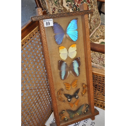 89 - A framed display of butterfly taxidermy