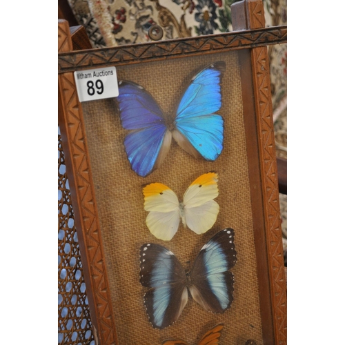 89 - A framed display of butterfly taxidermy