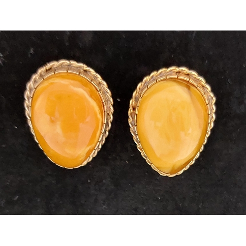 245 - Amber and unmarked gold coloured earrings