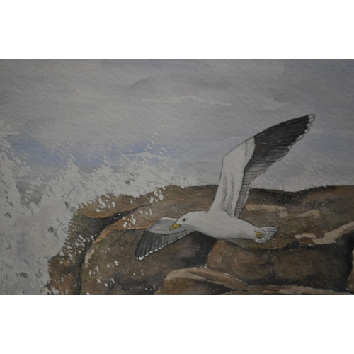 121 - Moorcroft / Cobridge Anji Davenport framed original watercolour - 'gull rock'. To reverse is signed ... 