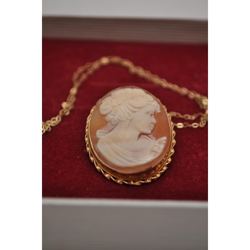 176 - 9ct yellow gold cameo pendant/brooch on chain marked 9k approx. length 3.5cm