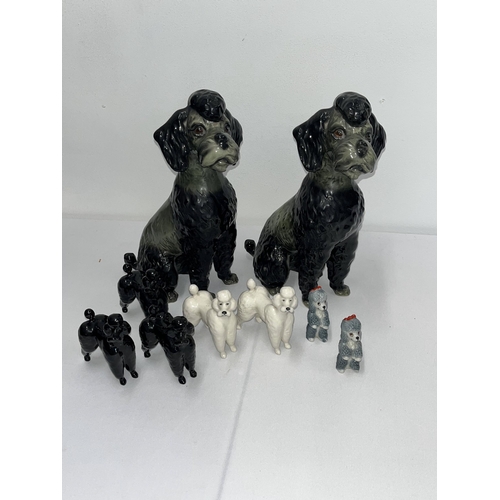 167 - A group of ceramic poodles to include Wade, Beswick and larger pair marked Western German 3860 to ba... 