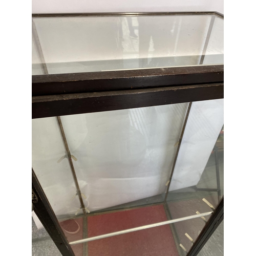 61 - Large antique ebonised display cabinet, fully glazed with facility for adjustable shelves, overall a... 