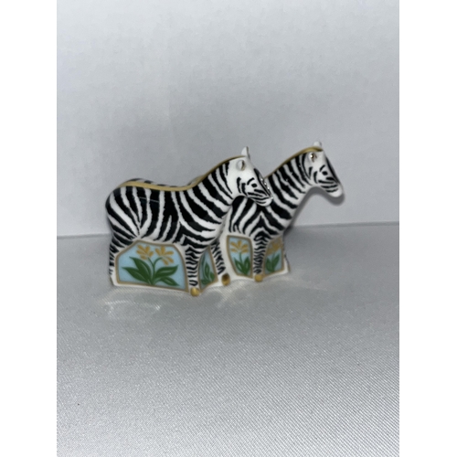 187 - Two Royal Crown Derby miniature zebra figurines with no stopper in box (x2 items in total)