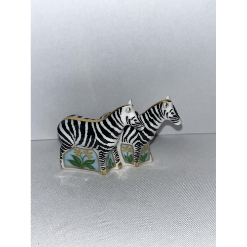 187 - Two Royal Crown Derby miniature zebra figurines with no stopper in box (x2 items in total)