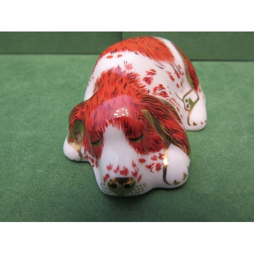 215 - Royal Crown Derby kitten paperweight together with a Royal Crown Derby puppy paperweight, both with ... 