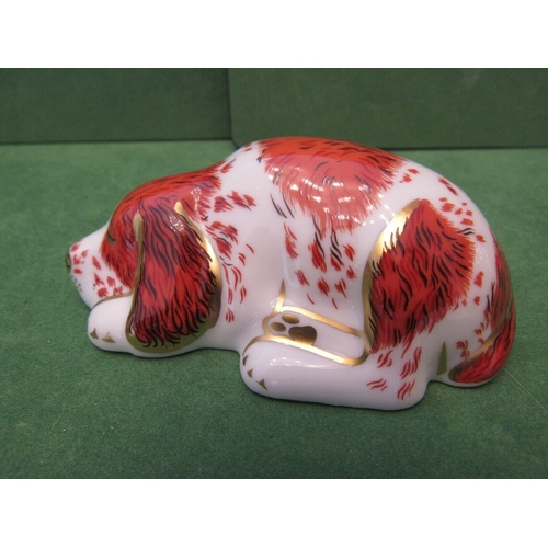 215 - Royal Crown Derby kitten paperweight together with a Royal Crown Derby puppy paperweight, both with ... 