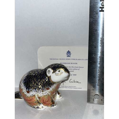 232 - Royal Crown Derby Riverbank Beaver paperweight no. 1042 / 5000 with certificate, gold stopper and bo... 