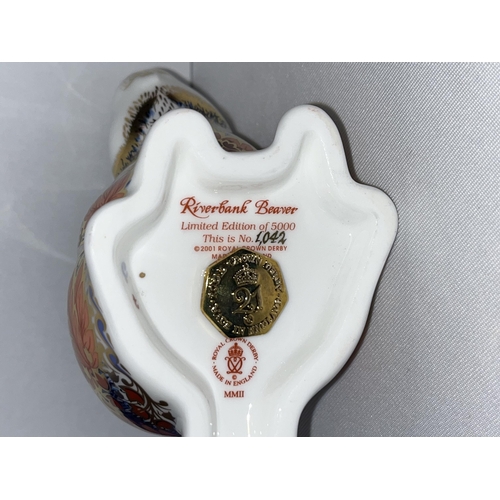 232 - Royal Crown Derby Riverbank Beaver paperweight no. 1042 / 5000 with certificate, gold stopper and bo... 