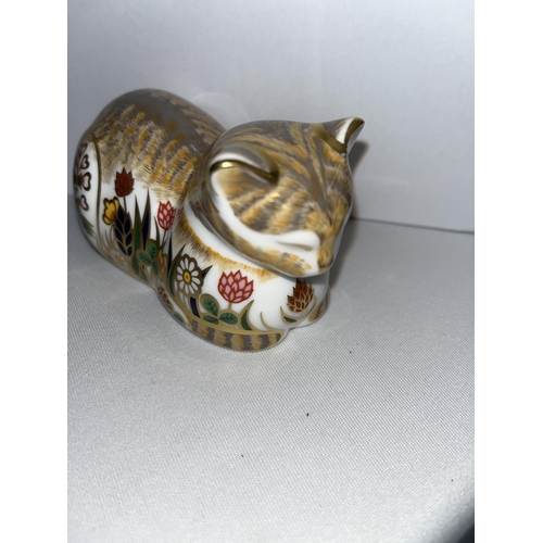 238 - Royal Crown Derby cottage cat paperweights with gold stopper and boxes, X3 items in total