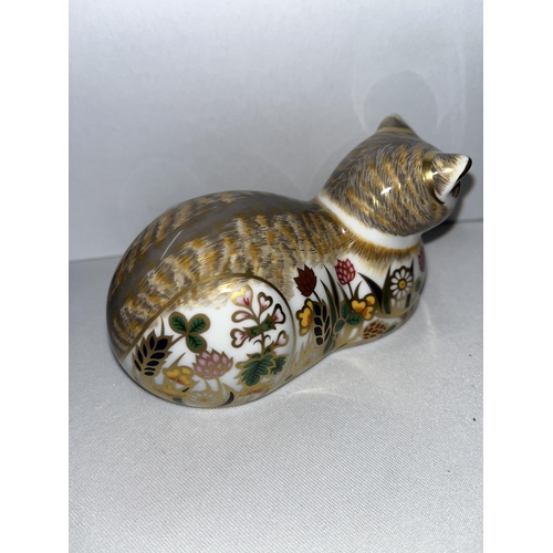 238 - Royal Crown Derby cottage cat paperweights with gold stopper and boxes, X3 items in total