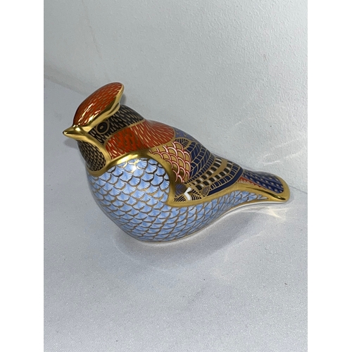 202 - Royal Crown Derby paperweight in the form of a Waxwing with silver stopper with box