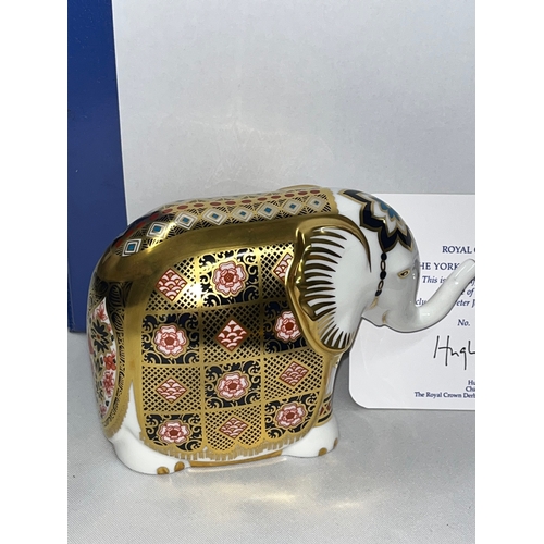 227 - Royal Crown Derby Elephant Yorkshire Rose paperweight no. 48 / 500 in box with gold stopper and cert... 