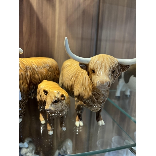 133 - Beswick family group of Highland cattle comprising Bull, Highland Cow and Highland Calf A/F to bull ... 