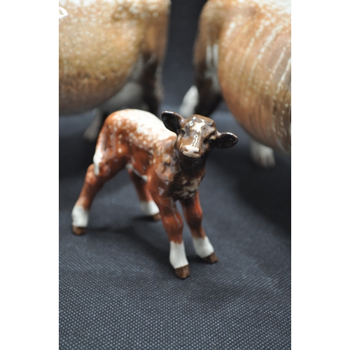 136 - Beswick pottery Dairy Shorthorn models, including bull, 