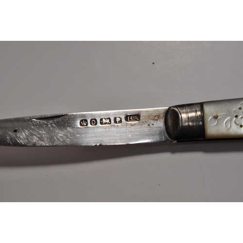 104 - Victorian Fruit knife with mother of pearl handle with floral design  with letters RHD inscription, ... 