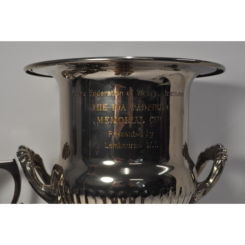 123 - W.I interest, a collection of  Women's Institute trophies to include, The Essex Federation IDA Memor... 