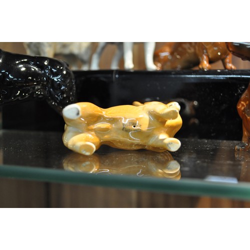 4 - A group of Beswick dogs, breeds to include corgi, dachshund etc. X7 items in total