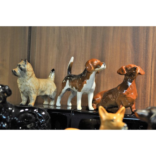 4 - A group of Beswick dogs, breeds to include corgi, dachshund etc. X7 items in total