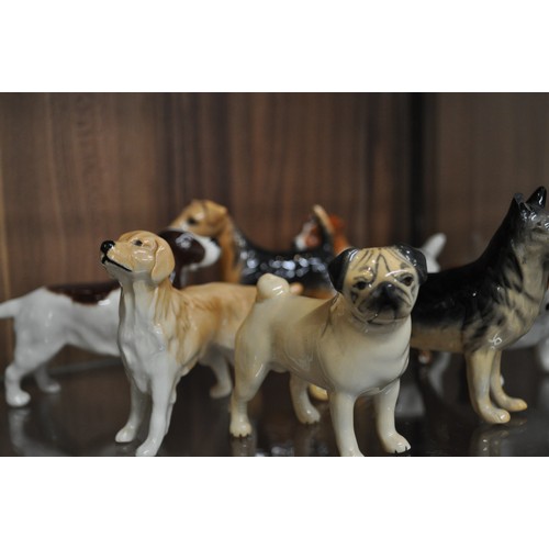 5 - A group of Beswick dogs to include Pug, Bulldog, Labrador etc. X7 items in total