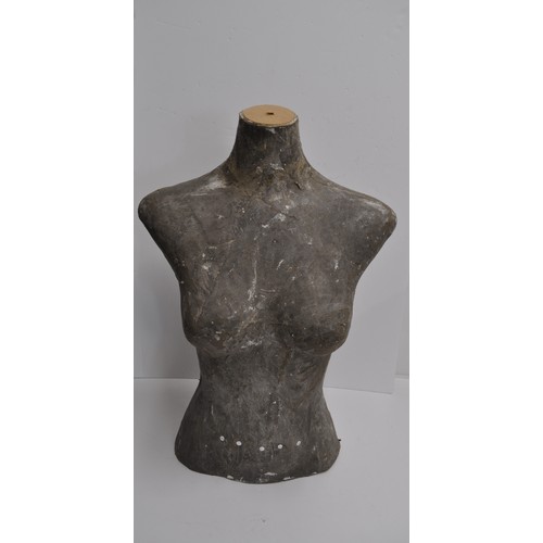 142 - Plaster cast of female bust